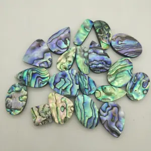 טבעי אבן Abalone Cabochons משלוח גודל