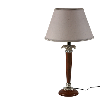 แสดงภาพ