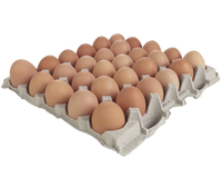 Blanc d'œuf frais de poulet de table, taille 40g-50g-60g-65g-70g