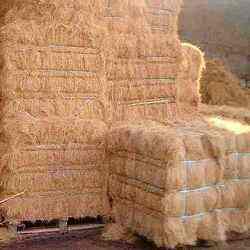 Coconut Coir Fiber - Product Image 2