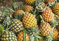 Verse ananas uit Vietnam (Binh Duong) van het merk Viet Delta, beste kwaliteit, 15 cm, 0,5 kg, 45 dagen houdbaarheid // NICKY