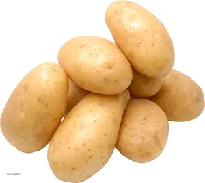 Patatas fritas frescas de la mejor calidad, producto para la exportación, de color amarillo, precio más bajo