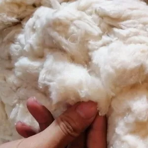 100% algodão comber noil/branqueada comber borra de algodão eco material do Vietnã-Ms. Mira