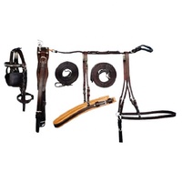 Fournisseurs Ensemble de harnais en cuir pour chevaux