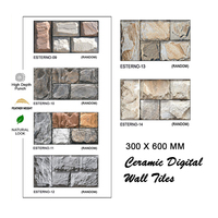 Carreaux muraux en céramique numérique décoratifs de grande profondeur 300x600 mm pour l'extérieur de la maison et du bureau