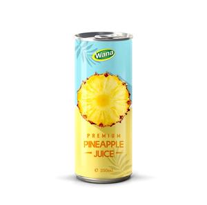 Proveedor de bebidas y alimentos naturales, Producto popular OEM, bebida de zumo de manzana en 250ml enlatado, zumo de fruta de tendencia superior sin azúcar añadido - Product Image 4