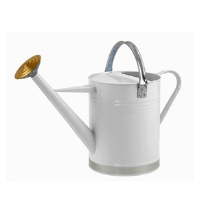 Regadera de Metal de Color azul cielo con mango de cobre, lata de agua de primera calidad para accesorios de decoración de jardín - Product Image 2