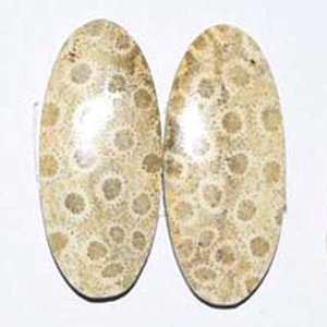 หินฟอสซิลธรรมชาติ,พลอยคู่ทำจากหินปะการังฟรีไซส์สำหรับทำเครื่องประดับ DIY - Product Image 1