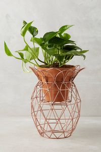 กระถางดอกไม้ Iqbal Collection รุ่น Rattan ผลิตจากวัสดุธรรมชาติ เป็นมิตรต่อสิ่งแวดล้อม ดีไซน์ทันสมัย เรียบง่าย ทนทาน เหมาะสำหรับใช้ในบ้านและสวน - Product Image 2