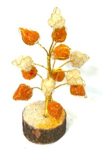 Mejor vendedor de amarillo y blanco flor cayó del árbol: amarillo y blanco flor cayó árbol en venta - Product Image 2