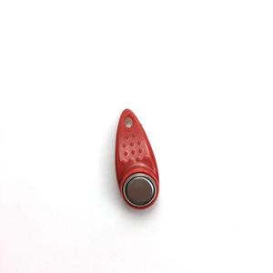 TM1990A-F5 di alta qualità RFID Ibutton Dollas chiave Tag prezzo di fabbrica all'ingrosso - Product Image 3