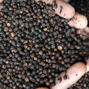 Pimienta negra a granel lista para suministrarse a granel desde Europa, alta calidad, bajo costo, Fabricante Mayorista de fábrica - Product Image 3