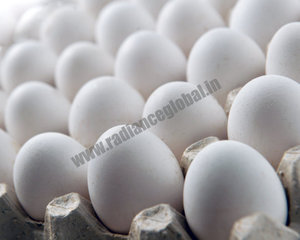 Chicken Eggs - Product Image 1