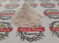 Farine de blé tout usage certifiée ISO de qualité supérieure (farine de blé blanc/Maida)
