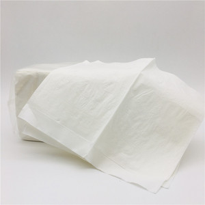Serviettes blanches interpliées 2 plis 15 g/m² 20x16,5 cm 250 feuilles par paquet 24 paquets par carton - Product Image 3