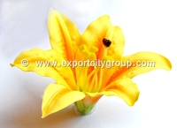 Jepit Rambut Sunne Tropical Lily Casablanca dari Bahan Polyester Plastik Busa yang Tahan Lama, Aksesoris Bunga dan Daun dari Kain yang Aman, 15 buah