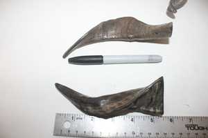 ผลิตภัณฑ์สไตล์เขาแพะธรรมชาติ - Product Image 3