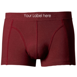 Nouveaux boxers pour hommes Micro Modal Fiber Soft Breathable Thin Section Sexy Four-Corner Briefs avec votre logo personnalisé et Desi - Product Image 5