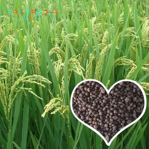 Low Price Good Quality Organic Diammonium Phosphate Agricultural Fertilizer
