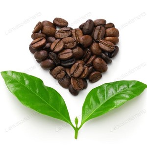 Café 100% Arábica Tostado Medio, Marca Privada, Vietnam, Granos Enteros, Mejor Calidad, Precio Competitivo al por Mayor, Empaquetado en Bolsa - Product Image 3