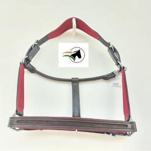Haute qualité Durable anglais selle tête de cheval collier licou rembourrage rouge avec matériel argenté conception de canal vide élégant - Product Image 1
