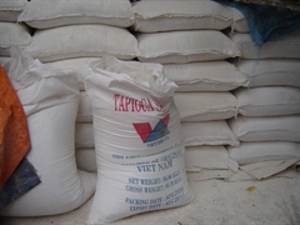 TIOophiophiophiophiophis S. ophiophie - Product Image 3