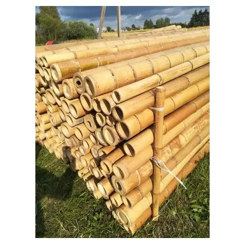 VietNam Alam Besar Bambu/Tongkat Bambu Pemasok dari 99 Gold Data (Lee Tran: 0084987731263)