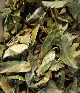 Sans produits chimiques Secs Corossol Feuilles-Helen TP + 84 374 288 086 - Product Image 3