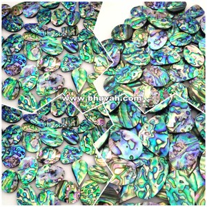 Paua <b>Abalone</b> <b>Shell</b> - Product Image 4
