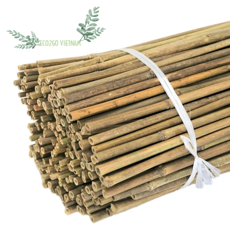Wholesale Cheapest Price 2024 Bamboo Stakes / Bamboo Canes/ Bamboo Stake Gardening Tonkin High Quality Made in Eco2go Vietnam