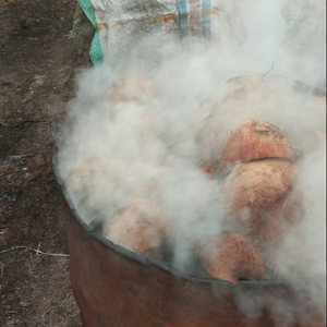 Carbón de coco - Product Image 4
