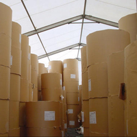 Rouleaux/Sacs en papier kraft brun vierge personnalisés pour l'emballage des produits d'épicerie
