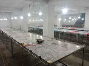 Vêtements de sport de fitness en polyester sans couture avec logo personnalisé OEM vente en gros de leggings de yoga entraînement sportif avec logo à la taille - Product Image 6