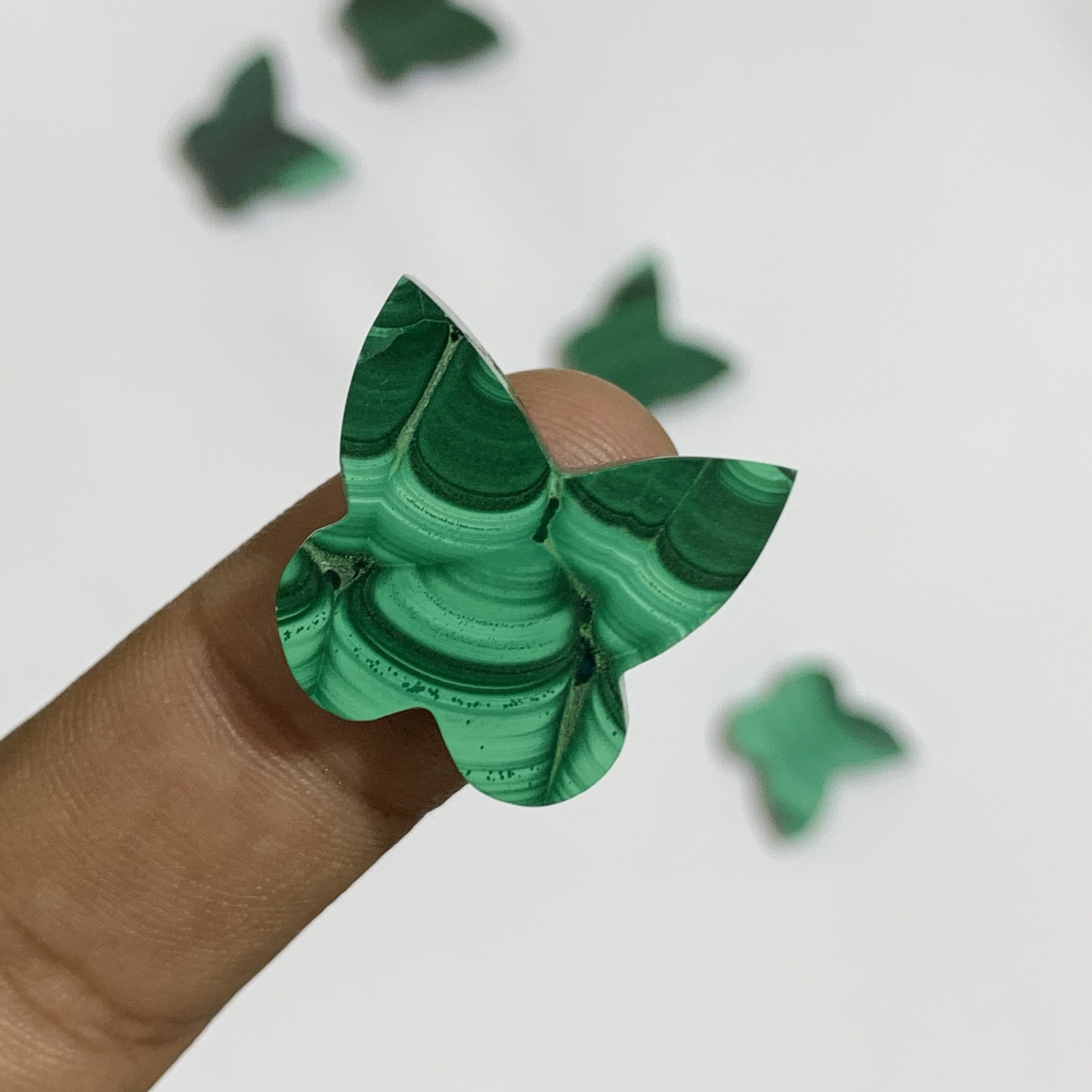 สีเขียว