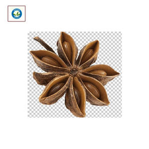 Vente en gros d'huile essentielle d'anis naturel pur à 100% ° de meilleure qualité d'origine biologique fabriquée et fournie en Inde - Product Image 1