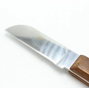 Cuchillo de laboratorio Dental con mango de madera, Instrumentos dentales de alta calidad - Product Image 3