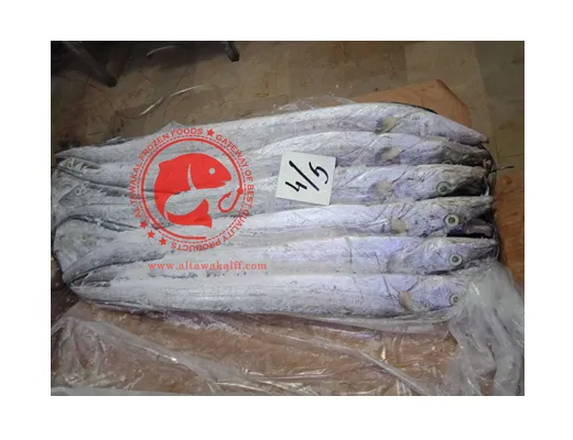 Frozen Ribbon Fishes From Arabian Sea In Bulk High Quality Ribbon Fish Available For Immediate Shipment