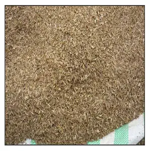 Dried brewers grain - Good source of high quality bypass protein, digestible fiber - Competitive price