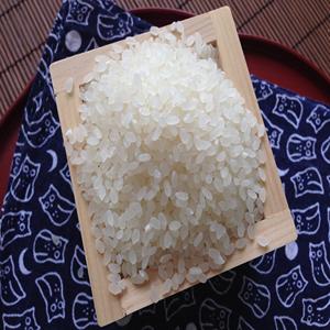 Riz blanc à grain court Japonica Calrose Koshihikari, séché, texture douce, IRRI pour usage alimentaire - Product Image 3