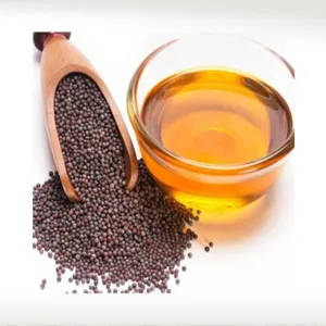 Aceite de semilla de jatrofa de alta calidad, aceite de jatrofa crudo, aceite de jatrofa refinado, en venta