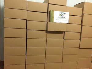 Logotipo personalizado 100% Pajitas de hierba natural Desechables Bar Bebidas Accesorios para beber - Product Image 5