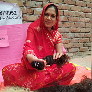 ผมแท้ไม่ผ่านกระบวนการ100% เวียดนาม - Product Image 5