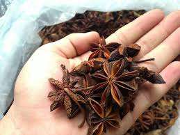 Graine d'anis étoile pas chère/JONATHAN + 84766909341 - Product Image 6