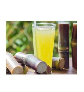 อ้อยคุณภาพสูงจากเวียดนาม/ ต้นอ้อยสด (จัสมิน: +84 37 461 9429) - Product Image 2