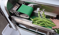 FM0012 Industriële dubbelkopige roestvrijstalen hoog-efficiënte 220V groente- en fruitsnijmachine
