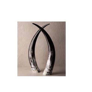 Corne décorative de buffle et support de base en laiton artisanal meilleure corne décorative de paire de buffle pour vaisselle à bas prix - Product Image 4