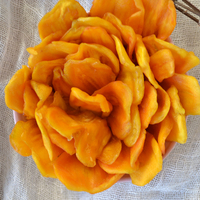 Hoogwaardige, Volledig Natuurlijke Zachte Gedroogde Jackfruit Direct Vietnam-Heerlijke Gezonde Snack Zoete Volle Vruchten Bulk Direct Geprijsd