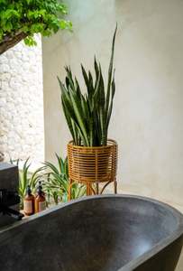 Support de plante naturelle en jonc de mer, support pour Pot de fleurs, décoration d'intérieur, meilleure vente, - Product Image 5