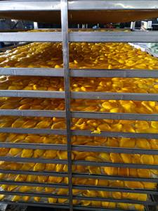 Aperitivos de Mango en rodajas naturales orgánicas, frutas secas, alta calidad, sin azúcar - Product Image 6