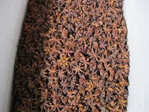 Anís Natural de estrellas para otoño, tamaño de flor grande, semilla más marrón, más grande, mejor calidad, alta demanda - Product Image 5